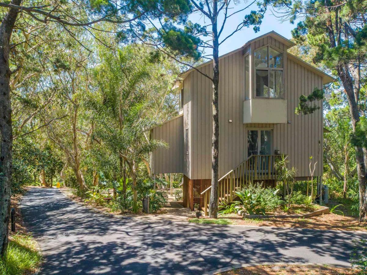 The Oasis Apartments And Treetop Houses Byron Bay Exteriör bild