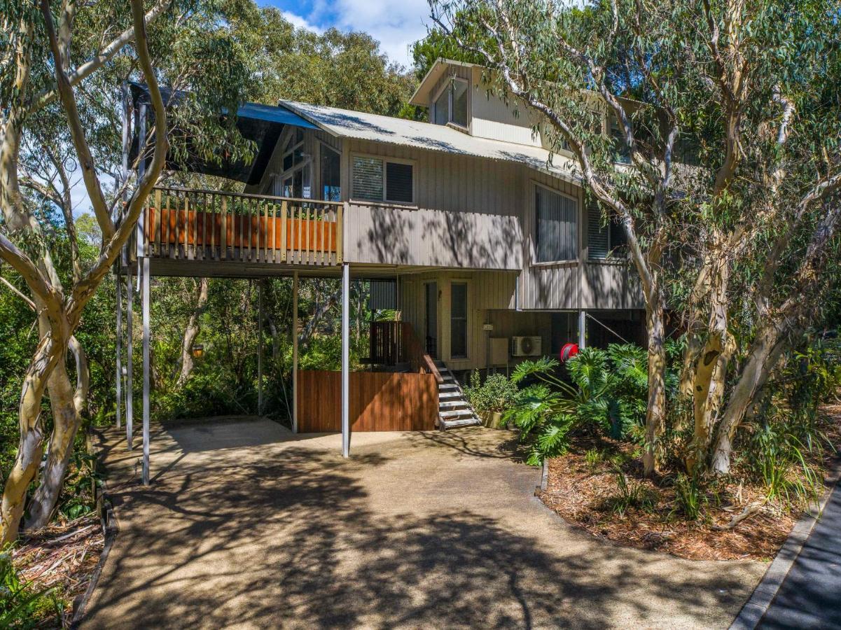 The Oasis Apartments And Treetop Houses Byron Bay Exteriör bild