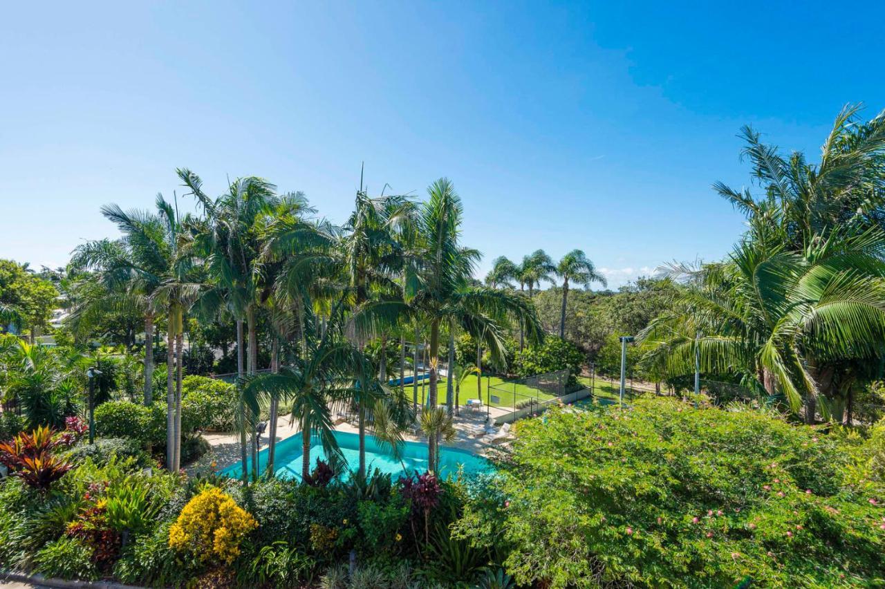 The Oasis Apartments And Treetop Houses Byron Bay Exteriör bild