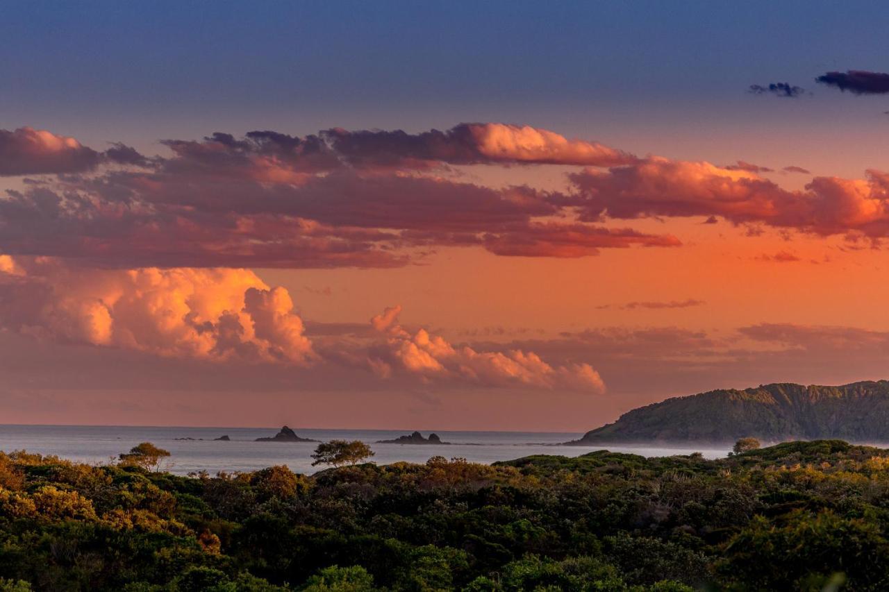 The Oasis Apartments And Treetop Houses Byron Bay Exteriör bild