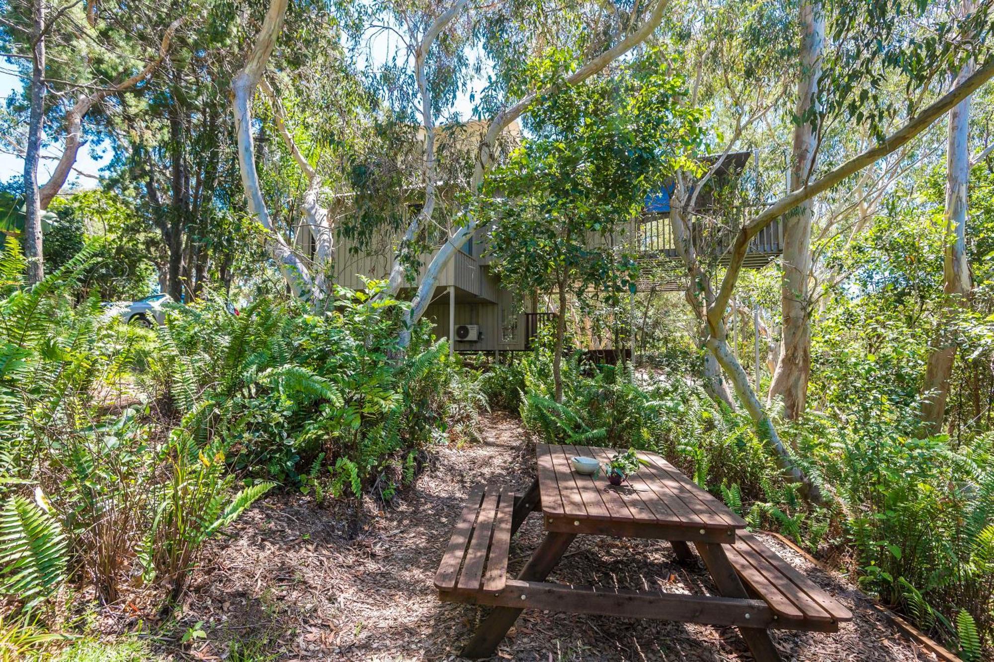 The Oasis Apartments And Treetop Houses Byron Bay Rum bild